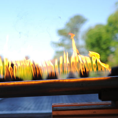 Taste of Engineering